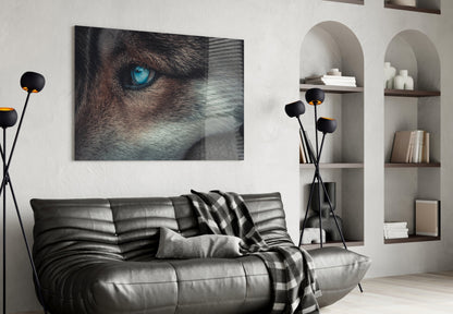 Ice Blue Wolf Eye Closeup Glass Wall Art