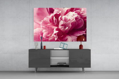 Hot Pink Peony Petal Macro Flower Glass Wall Art