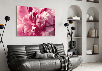 Hot Pink Peony Petal Macro Flower Glass Wall Art