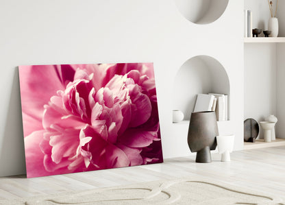 Hot Pink Peony Petal Macro Flower Glass Wall Art