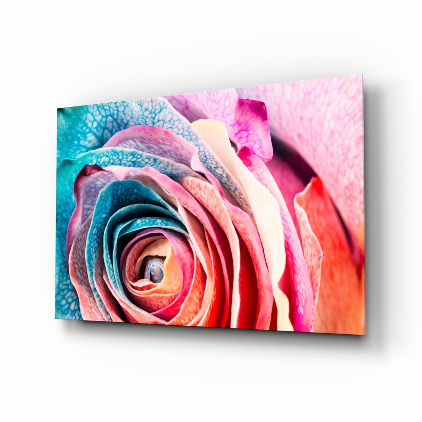 Angled perspective of a colorful glass wall art panel featuring a close-up rose with layered petals in teal, pink, red, orange, and cream tones.