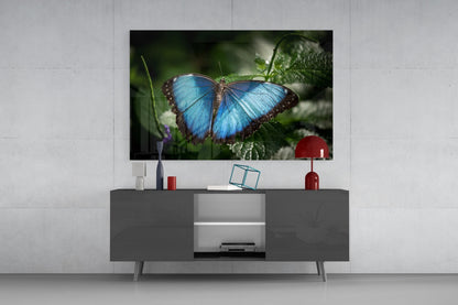 Blue Morpho on Leaves Butterfly Glass Wall Art