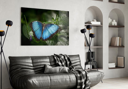 Blue Morpho on Leaves Butterfly Glass Wall Art