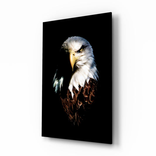Bald eagle head portrait on black glass panel displayed at an angle, showing white head, yellow beak, and brown body feathers.