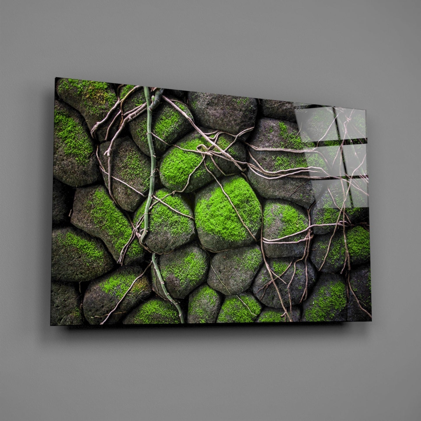 Glass wall art displaying moss-covered gray stones with tan vine tendrils, mounted on gray wall at angle.