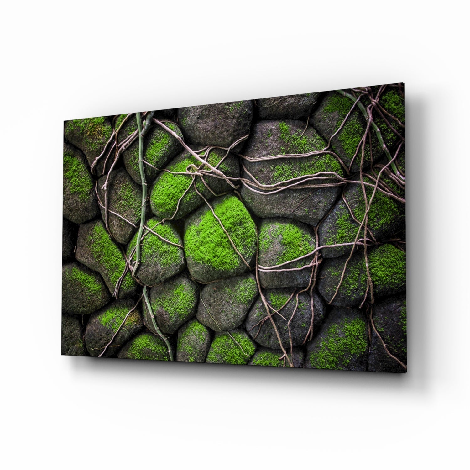 Angled 3/4 perspective view of glass wall art depicting gray stones densely covered in bright green moss with thin brown vines crossing the surface.
