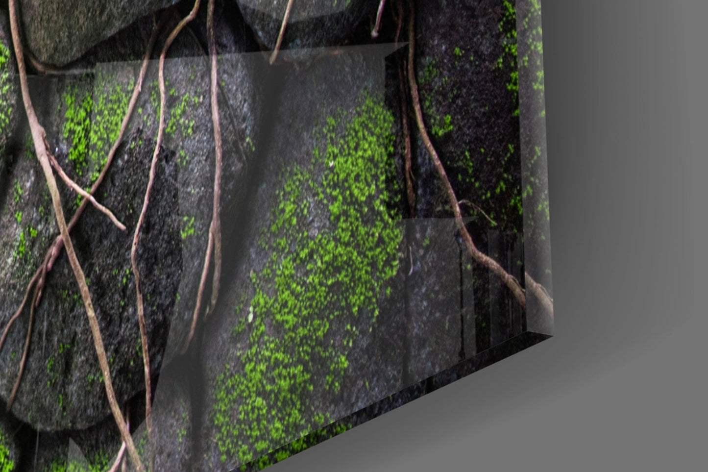 Close-up angled view of glass wall art showing dark stone tiles covered in bright green moss with brown vine branches crossing the surface.