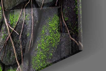 Close-up angled view of glass wall art showing dark stone tiles covered in bright green moss with brown vine branches crossing the surface.