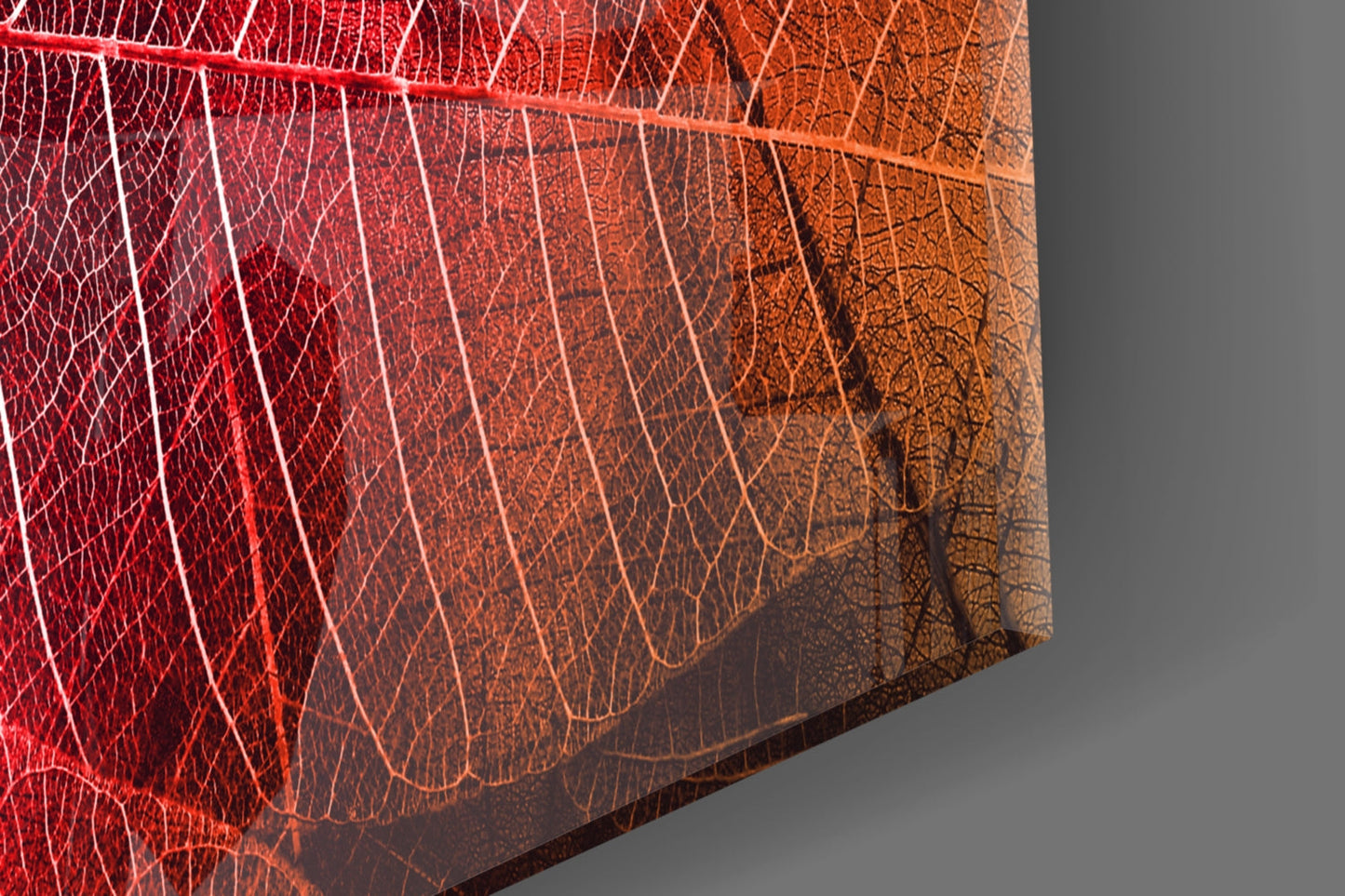 Close-up angled view of translucent red and amber glass leaf artwork displaying detailed vein patterns with gray background.