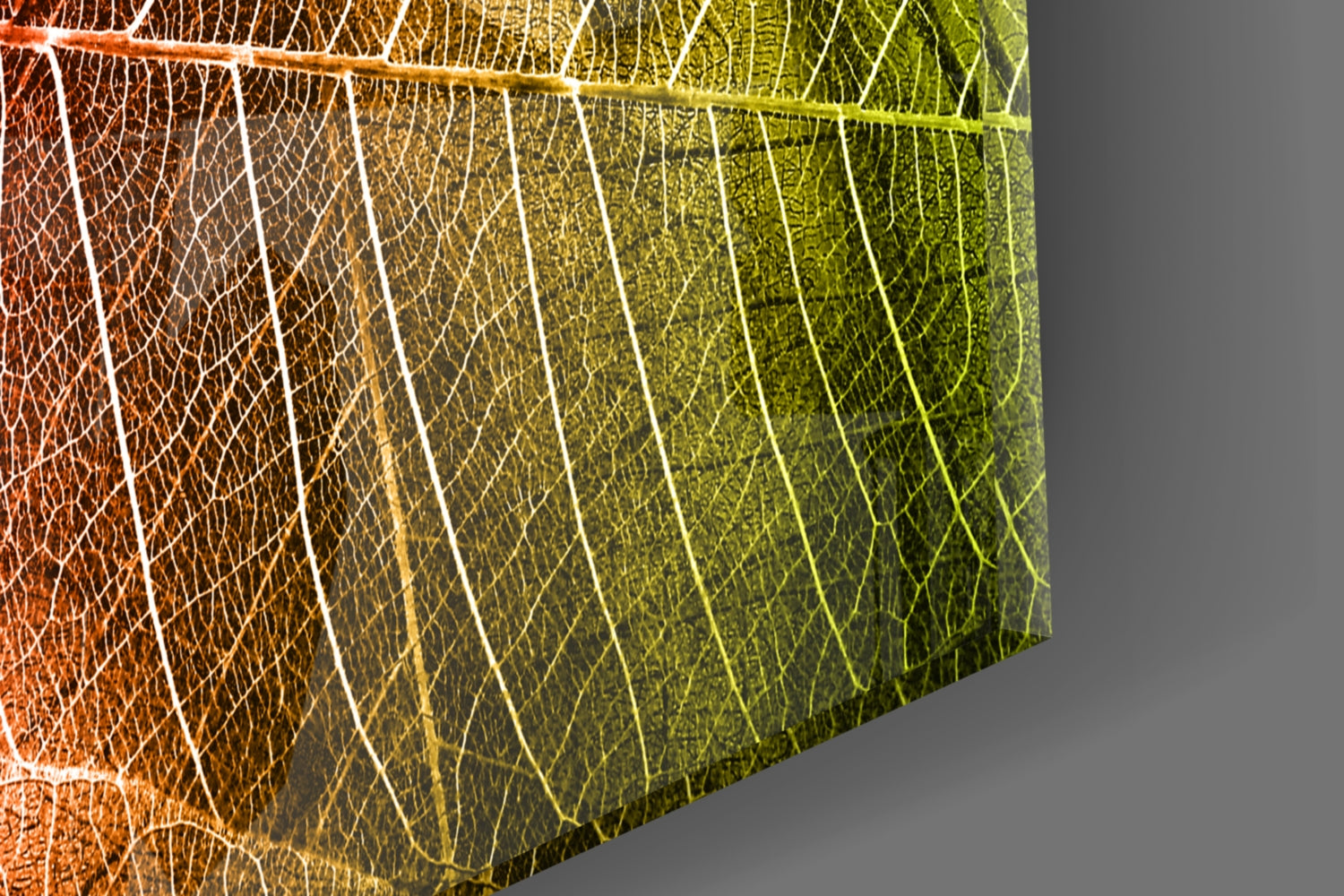 Close-up angled view of translucent glass wall art displaying leaf vein patterns in gradient colors from orange-red to yellow-green.