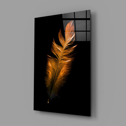 Angled perspective view of black glass panel featuring golden-bronze feather against dark background with window grid pattern visible at top.