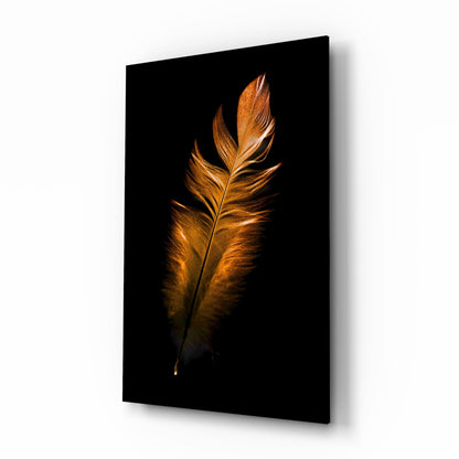 Angled view of a glass wall panel displaying a single golden-bronze feather against a black background.
