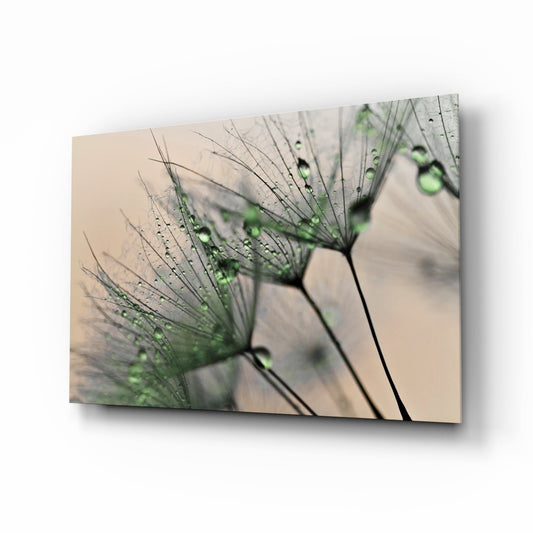 Glass wall art displaying delicate dandelion seedheads with water droplets against a soft beige background, shown at an angled perspective.