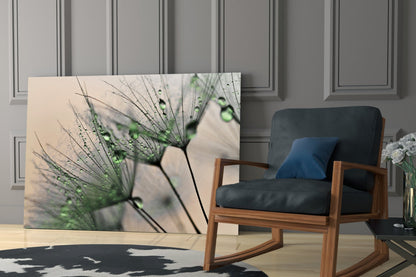 Green Dew Drops Dandelion Wisp Glass Wall Art
