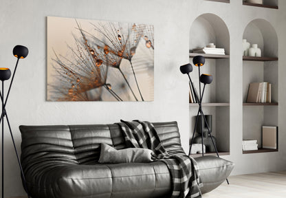 Amber Dewy Dandelion Close Up Glass Wall Art