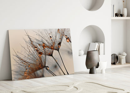 Amber Dewy Dandelion Close Up Glass Wall Art