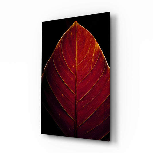 A deep red autumn leaf with golden veins displayed on black glass, shown at an angled perspective against a white background.
