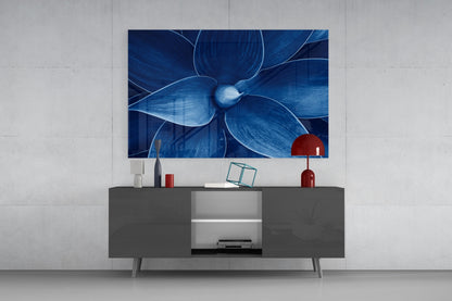 Indigo Blue Agave Petals Macro Glass Wall Art