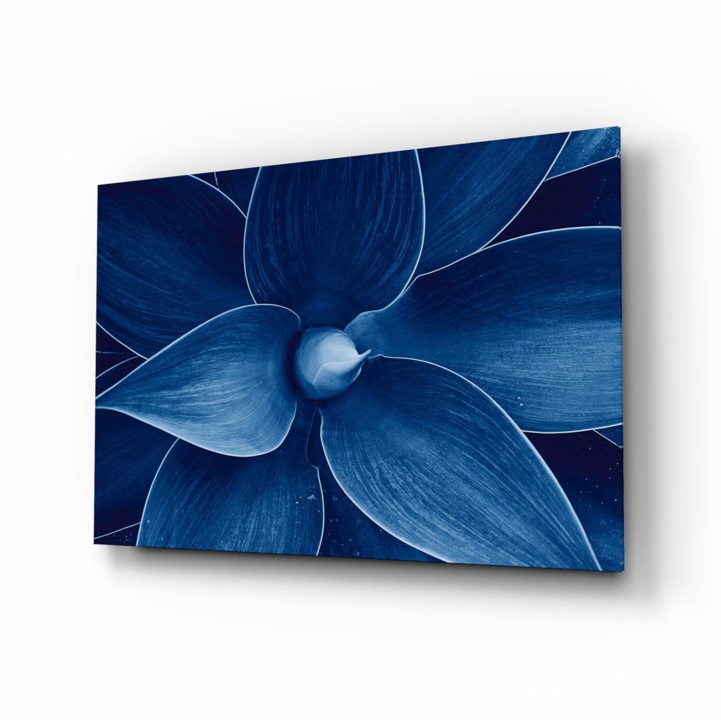 Indigo Blue Agave Petals Macro Glass Wall Art