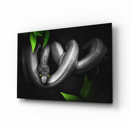 Green Eyed Coiled Snake Leaves Glass Wall Art