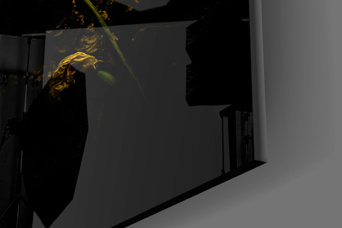 Close-up of gold-toned wilted flower and green stem on dark glass panel mounted on white wall.