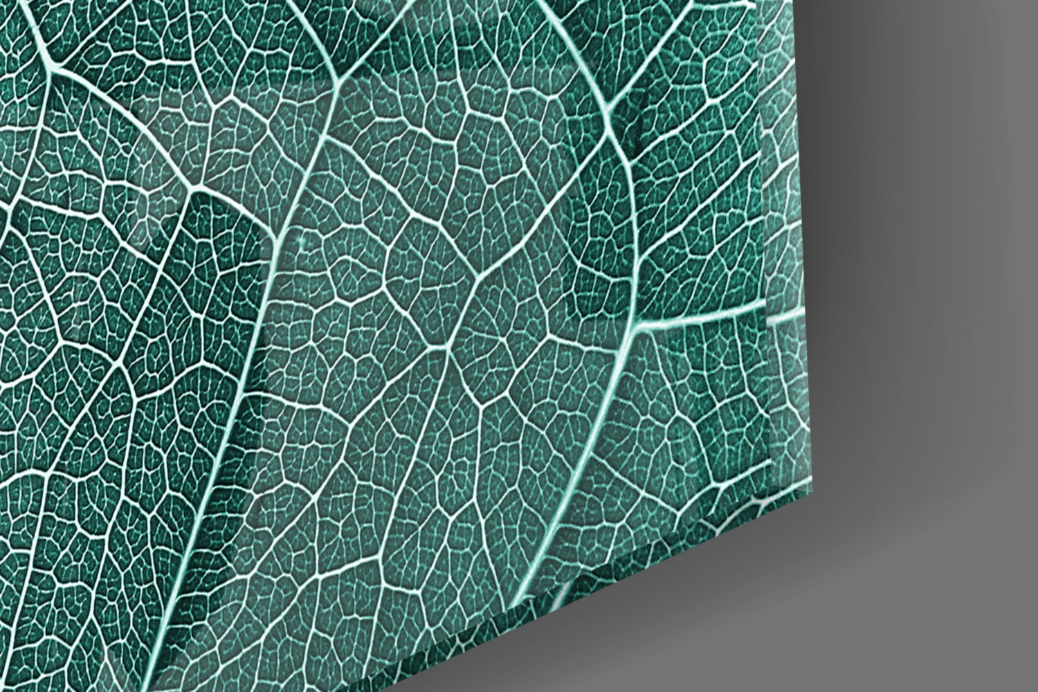 Close-up of teal glass wall art displaying detailed leaf veins in white against a gray background.