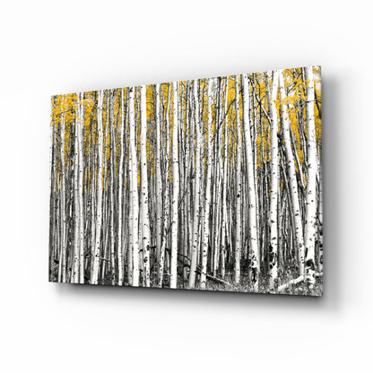 Angled 3D view of glass wall art showing a dense birch forest with white trunks, black markings, and golden yellow foliage against white background.