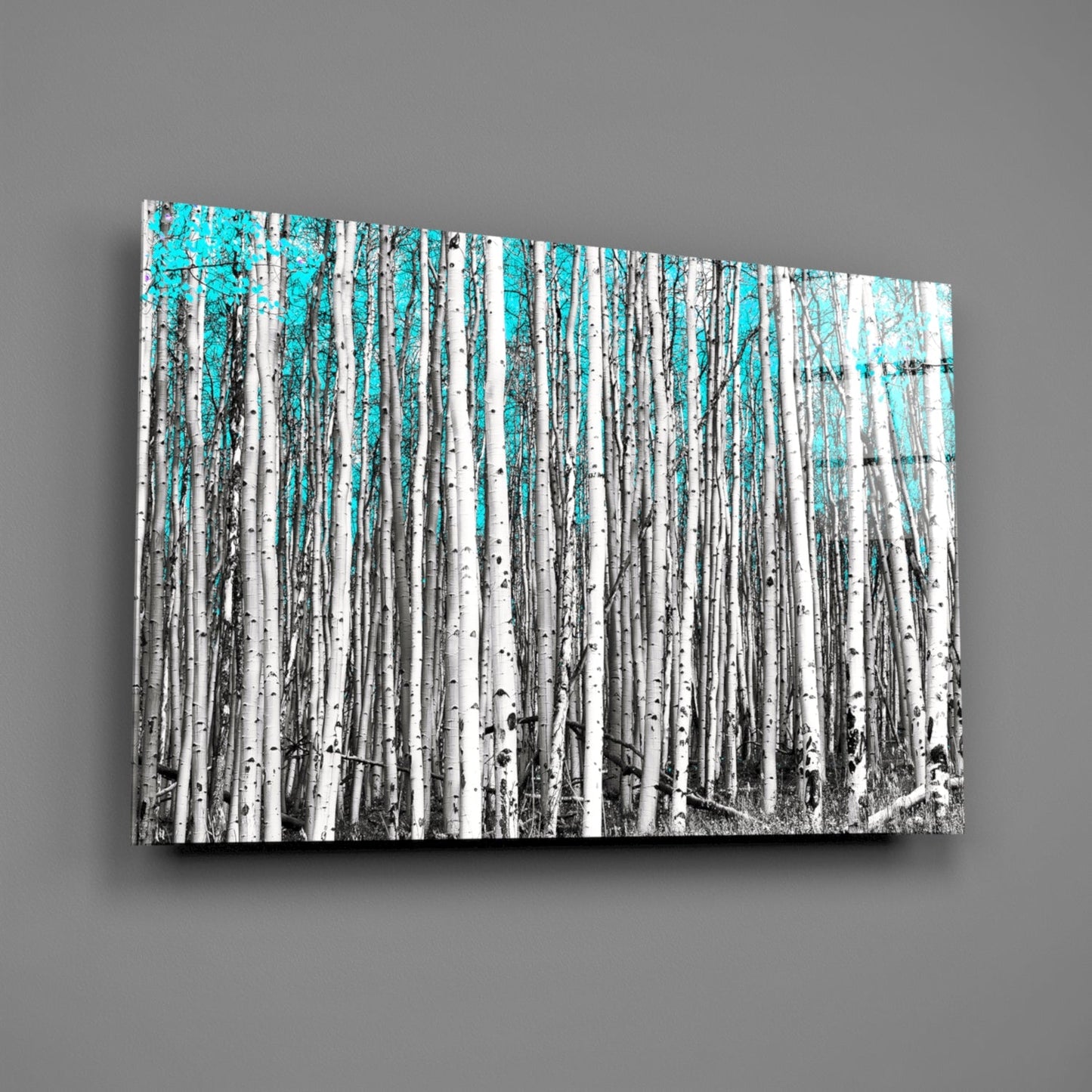 Angled view of glass wall art featuring a birch forest with white trunks and turquoise sky background mounted on gray wall.