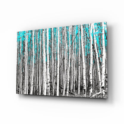 Angled view of glass wall art featuring a black and white birch forest with bright turquoise sky background.