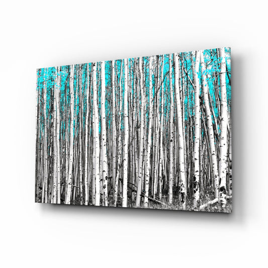 Angled view of glass wall art featuring a black and white birch forest with bright turquoise sky background.