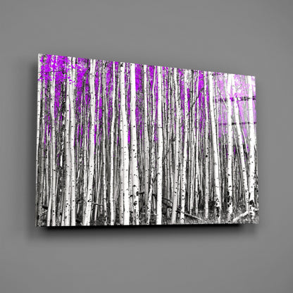Angled view of glass wall art showing a black and white birch forest with vibrant magenta overlay across the top portion.