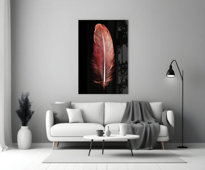 Red feather with white center vein displayed as glass wall art above white sofa in modern living room setting.