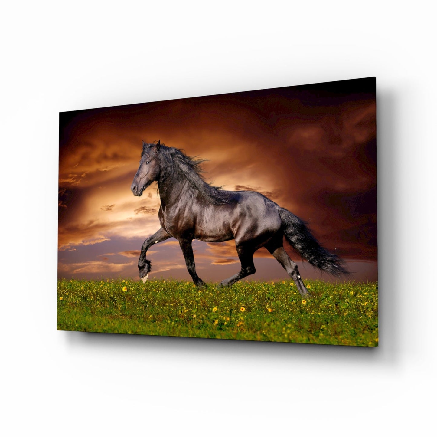Black horse galloping through a green flower field with dramatic orange sunset sky, displayed as a glass wall art panel.