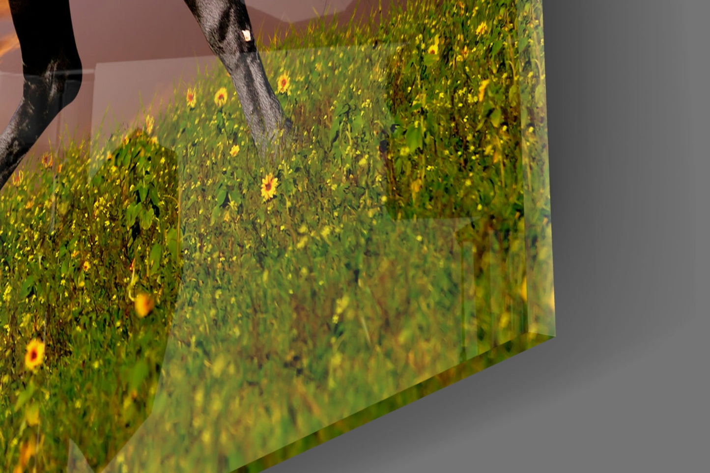 Close-up angled view of glass wall art displaying a sunflower field with yellow flowers and green foliage.