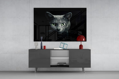 Green Eyed Blue Cat Dark Glass Wall Art