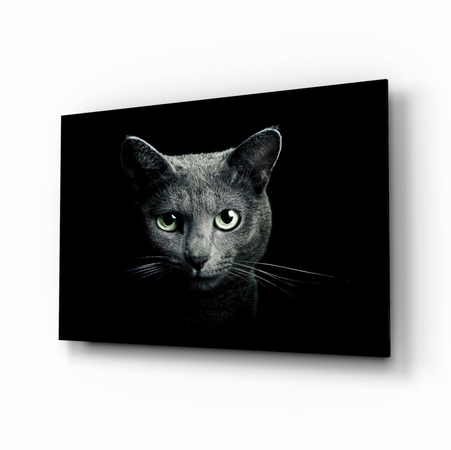 Green Eyed Blue Cat Dark Glass Wall Art