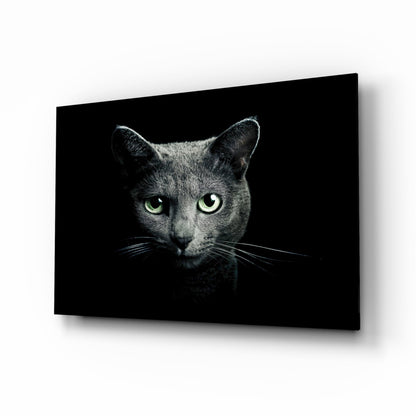 Green Eyed Blue Cat Dark Glass Wall Art