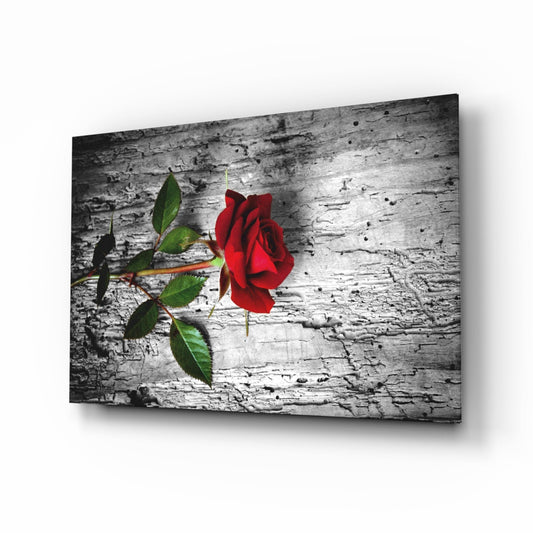 A vibrant red rose with green leaves displayed on a glass panel angled against a white background, showing the product's three-dimensional depth and shadow.