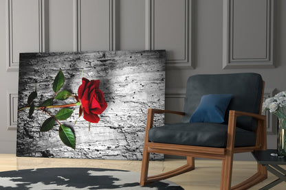 Single Red Rose on Weathered Wood Glass Wall Art