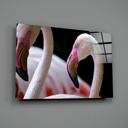 Two Pink Flamingo Heads Glass Wall Art
