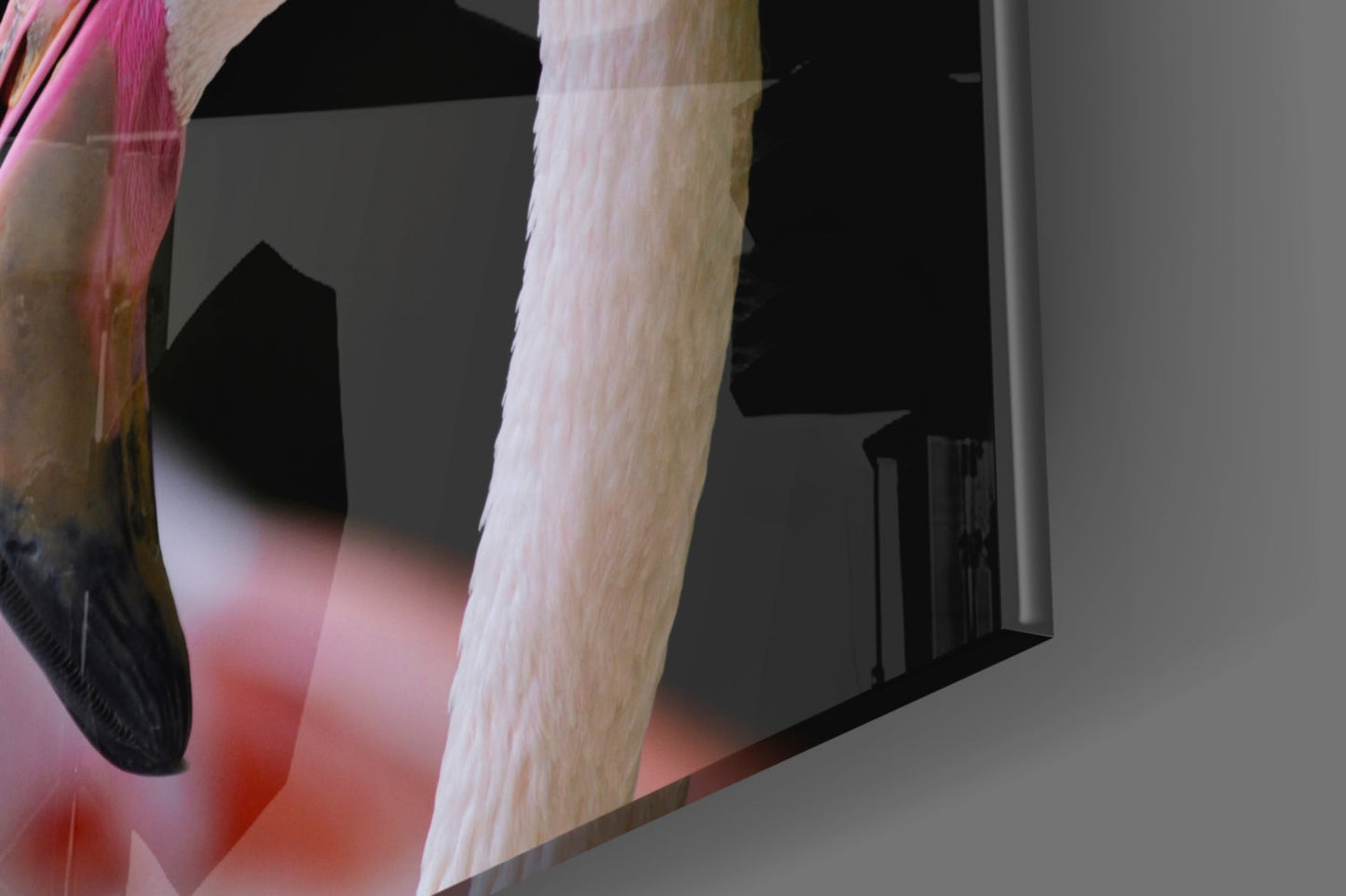 Two Pink Flamingo Heads Glass Wall Art