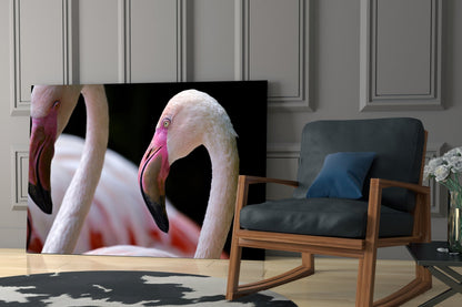 Two Pink Flamingo Heads Glass Wall Art