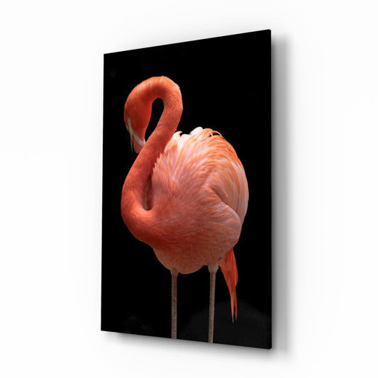A coral pink flamingo with curved neck facing left against a black background on glass wall art, displayed at an angle.