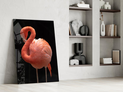 Coral Flamingo Curved Neck Glass Wall Art