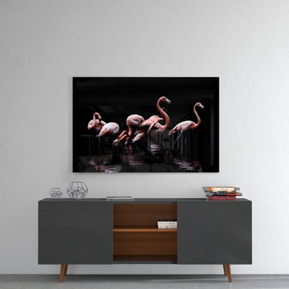 Black Background Wading Flamingos Glass Wall Art