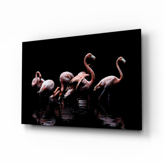 Four pink flamingos wading in dark water against a black background, displayed as a glass wall art print mounted at an angle.