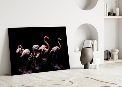 Black Background Wading Flamingos Glass Wall Art