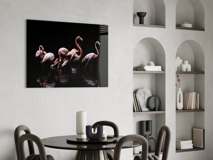 Black Background Wading Flamingos Glass Wall Art