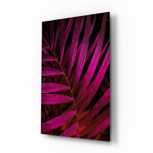 Close-up of magenta and burgundy palm fronds with layered leaves backlit against dark shadows on glass panel.