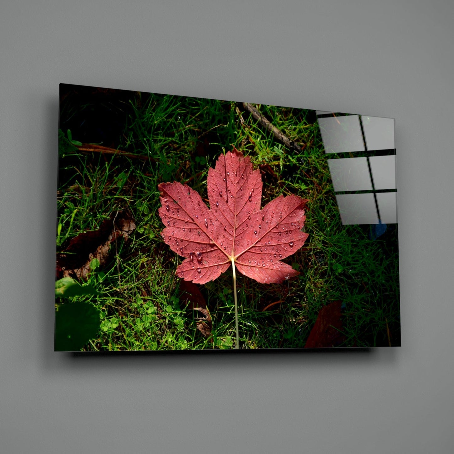 Glass wall art displaying a coral-pink autumn leaf with water droplets on vibrant green moss background, mounted on gray wall.